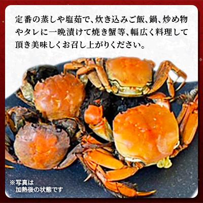 ふるさと納税 江別市 石狩川・江別産　天然もくず蟹　オス・メス混合　2kg |  | 01