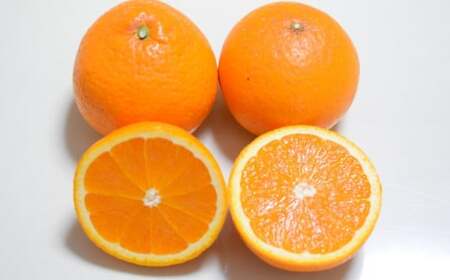 【先行予約】【濃厚】有田産清見オレンジ約5kg(サイズおまかせまたは混合)ご家庭用　※2026年2月中旬～2026年3月下旬頃発送予定（お届け日指定不可） / みかん オレンジ 和歌山 有田みかん 柑