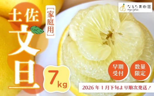 
            【 早期受付 期間限定 数量限定 】 土佐文旦 7kg 家庭用 人気 フルーツ 果物 文旦 ぶんたん ブンタン ジューシー 果汁 甘酸っぱい 限定品 土佐 高知県 高知 四万十市 四万十 しまんと お取り寄せ 【配送時期：2026年1月下旬～3月上旬】25-336
          