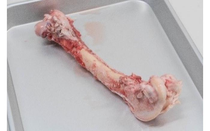 北海道産 エゾ鹿 鹿 シカ肉 鹿肉 ドライ ジャーキー ペットフード あしょろ