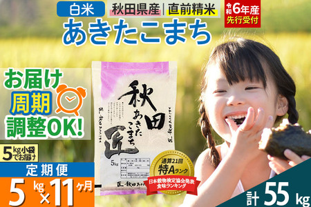 【白米】＜令和6年産 予約＞ 《定期便11ヶ月》秋田県産 あきたこまち 5kg (5kg×1袋)×11回 5キロ お米【お届け周期調整 隔月お届けも可】