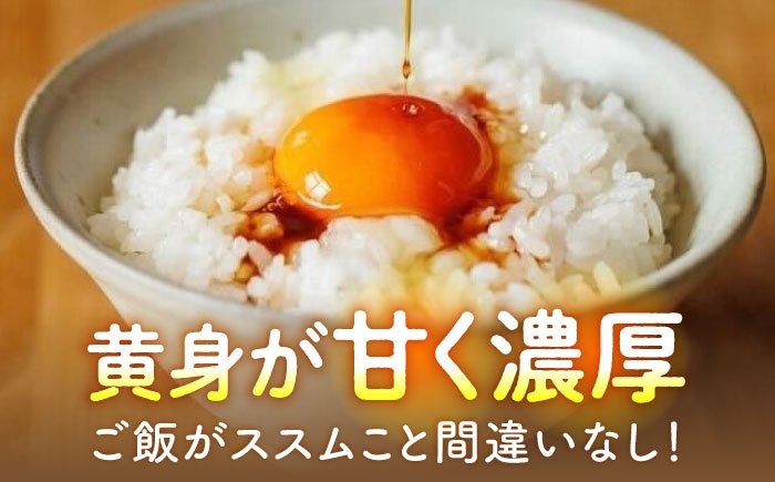 【6回定期便】いとう君ちのあっぱれ卵 80個（76個+割れ補償4個）卵 たまご 鶏卵