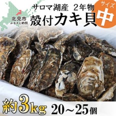 【2024年発送】サロマ湖産殻付き2年牡蠣　中　約3kg(約20～25個)