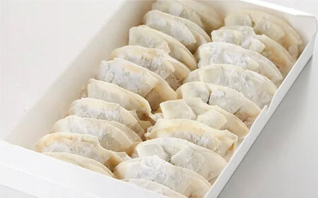 餃子 【6回定期便】冷凍自家製餃子セット６０個 [ANCT023] 餃子