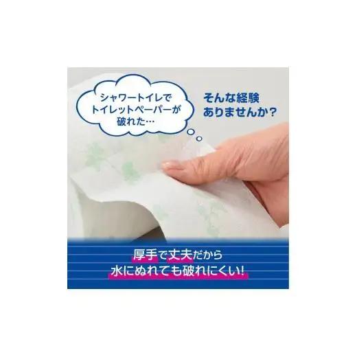 エリエール トイレットペーパー ダブル シャワートイレ 24ロール 3か月定期便 無香料 リーフ柄 12R× 2パック（ダブル）大容量 日用品 消耗品 新生活 備蓄 防災 愛媛県 四国中央市