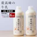 【ふるさと納税】 【定期便 6ヶ月】 最高峰の牛乳 2本(900ml×2本) お楽しみ おまけ付き ふるさと納税 北海道