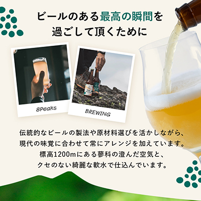 八ヶ岳山麓のクラフトビール6本セット【ギフトに】【パーティやBBQに!】【JGBA2024銅賞受賞】【配送不可地域：離島】