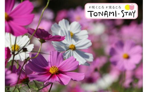 砺波市宿泊割引券（3,000円分×5枚）