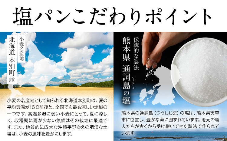 天然酵母 塩パン 10個 セット パン ローカルベーカリー《7-14営業日以内に出荷予定(土日祝除く)》焼きたてを急速冷凍 手作り 天然酵母パン 朝ごはん おやつ 軽食 ランチ 北海道 本別町---h