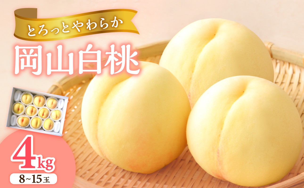 
                  岡山県産 白桃 約4kg（8～15玉）【白桃 フルーツ 果物 くだもの もも 桃 モモ 岡山県産 先行受付 先行予約】
                