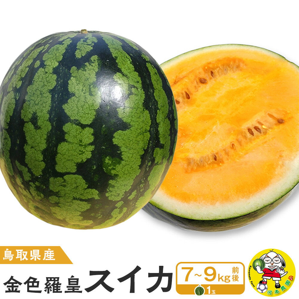 【ふるさと納税】鳥取県産 金色羅皇スイカ 1玉 7-9キロ前後（こちらの返礼品は、大栄西瓜ではありません） | 金色羅皇西瓜 西瓜 スイカ 果物 フルーツ 鳥取県 北栄町 おすすめ 人気 新鮮 1玉 7kg ～ 9kg