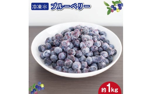 冷凍 ブルーベリー 約1kg フルーツ 国産 果物 大粒 甘い 糖度 ジャム ジュース ケーキ ゼリー スムージー ヨーグルト 洋菓子 お菓子 焼菓子 おやつ デザート スイーツ ポリフェノール アントシアニン 美容 健康 ギフト 贈答 プレゼント お取り寄せ グルメ 送料無料 徳島県 阿波市 AWABlueberryファーム