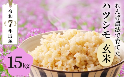 玄米 令和7年産 15kg 玄米 単一原料米｜ハツシモ れんげハツシモ れんげ育ちのハツシモ コシヒカリの先輩 米 玄米 ごはん 玄米 精米 お米 ハツシモ れんげハツシモ れんげ育ちのハツシモ 米 玄米 ごはん 玄米 精米 お米 ハツシモ れんげハツシモ 米 玄米 ごはん 玄米 精米 お米 27000円 2万7千円 大黒屋 岐阜県 大垣市