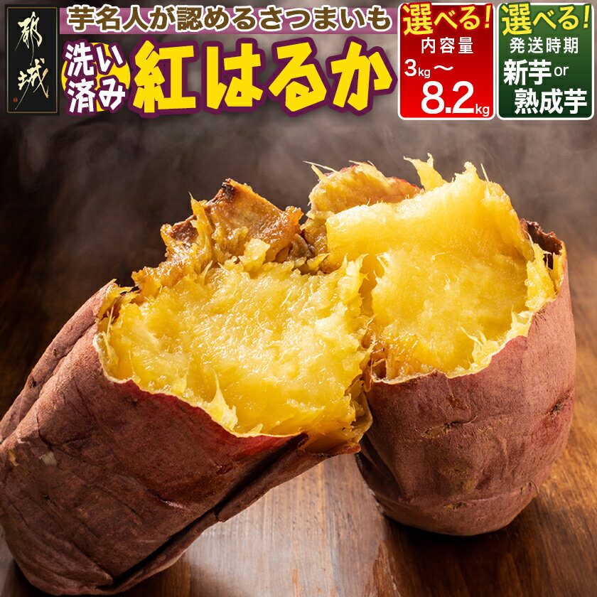 【ふるさと納税】【セット内容＆発送時期が選べる！】芋名人が認めるさつまいも『洗い済み 紅はるか』 - 宮崎県都城産 紅はるか 2Lサイズ/Lサイズ/MSサイズ/MS〜2Lミックス 9月〜11月/12月〜1月お届け 送料無料 SKU-L701 【宮崎県都城市は2年連続ふるさと納税日本一！】