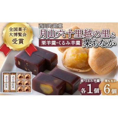 ふるさと納税 西川町 【全国菓子大博覧会受賞】月山六十里越の里(栗羊羹・くるみ羊羹)と栗もなか6個入　