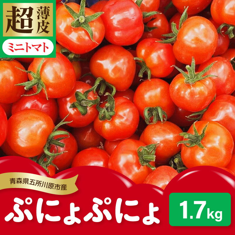 【ふるさと納税】【2026年 先行受付】 ミニトマト 約1.7kg 超薄皮 「ぷにょぷにょ」 ｜ 薄皮 肉厚 みにとまと リコピン 野菜 産地直送 青森 五所川原市 送料無料 プチ サイズの トマト ぷよ っとした食感