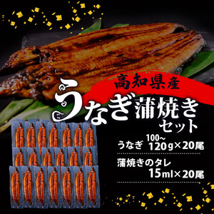 うなぎ 国産 高知県産 鰻 蒲焼き 100g～120g×20尾 セット 蒲焼きのタレ 付き 冷凍 高知県 須崎市 ( うなぎ 蒲焼き うなぎ 冷凍 うなぎ スタミナ うなぎ 土用の丑の日 うなぎ タレ