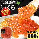 【ふるさと納税】いくら醤油漬け 選べる400g～800g 1パック200g〈小田切水産〉いくら 醤油漬け 北海道 小分けいくら イクラ 魚卵 醤油漬け しょうゆ漬 海産物 北海道ふるさと納税 白老 ふるさと納税 北海道