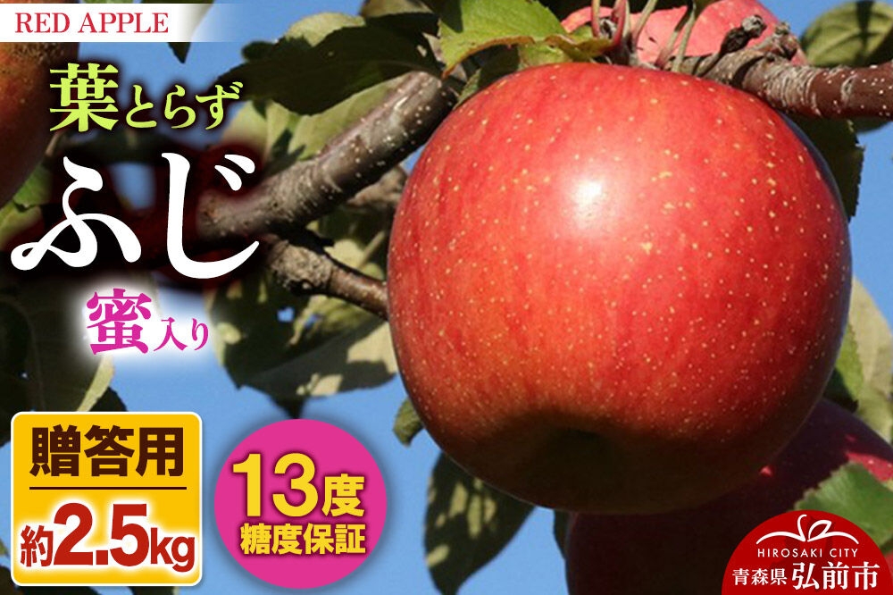 
                  【26年12月上旬～発送】りんご 13度糖度保証【贈答用】蜜入り 葉とらずふじ 約2.5kg 先行受付 [アップル おいしい お歳暮 お中元 ギフト ふじ プレゼント りんご 果実 果物 赤色 贈り物 贈答用 糖度 美味 葉っぱ 葉とらず 林檎]
                