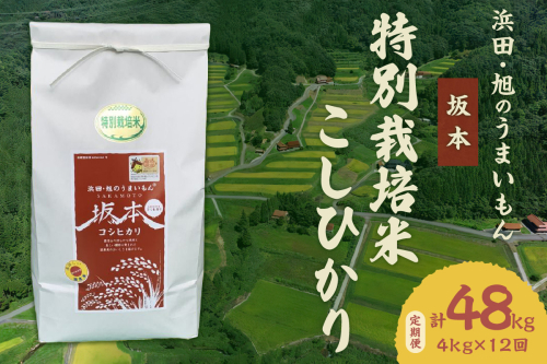 【定期便】【令和6年産】浜田・旭のうまいもん「坂本」特別栽培米こしひかり　4kg×12回 米 お米 こしひかり 特別栽培米 定期 定期便 12回 精米 白米 ごはん 特産 【1022】