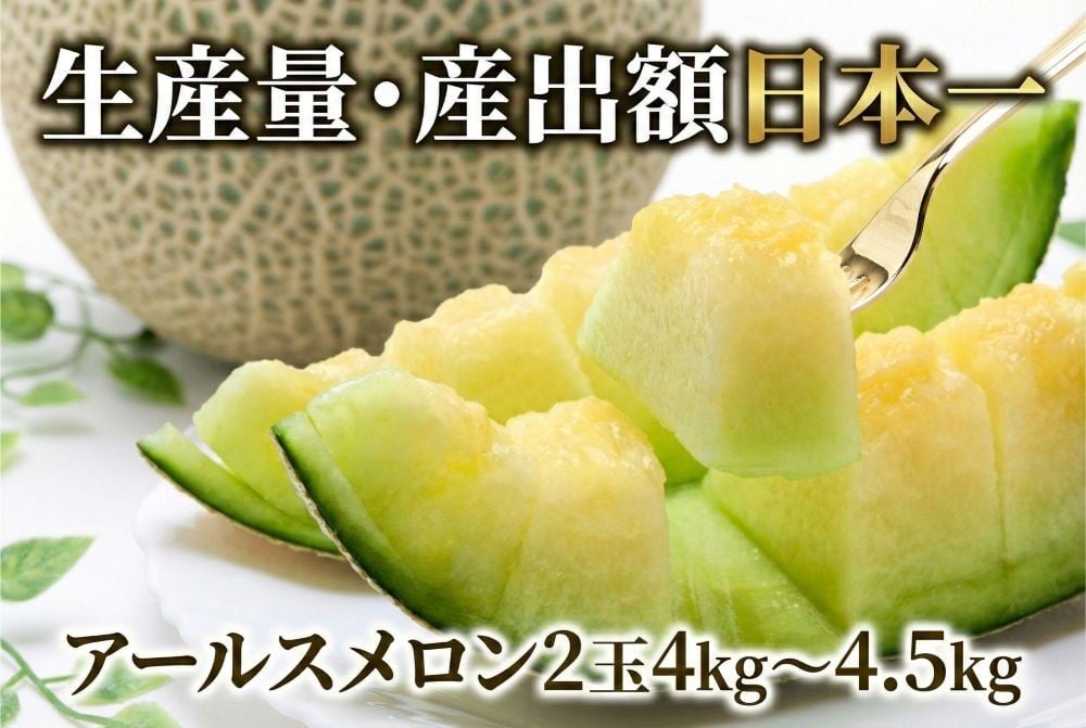 
アールスメロン（2玉入り1箱）計4kg～4.5kg
