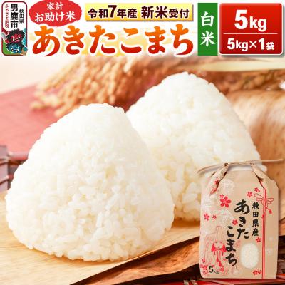 ふるさと納税 男鹿市 先行受付【白米】家計お助け米 あきたこまち 5kg|23_kml-010501s