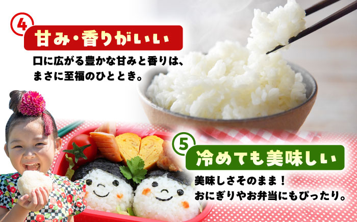 【先行予約】 令和7年産 新米 さがびより 精米 5kg 【佐賀県江北町産】　米 白米 [HAF030]