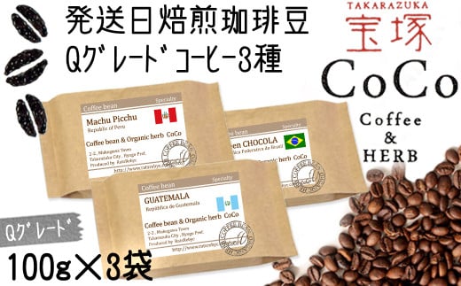 【宝塚】Qグレード珈琲3種類 当日自家焙煎珈琲100g×3種【粉】