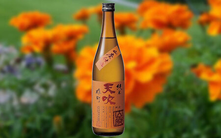 天吹 山廃純米 雄町 720ml×1本 / 佐賀県 / 天吹酒造合資会社 [41ANCX005]