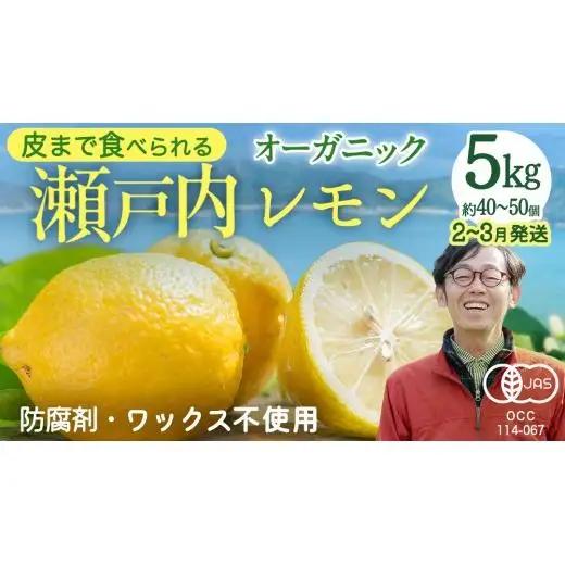 瀬戸内 オーガニック レモン 先行予約 ノーワックス 防腐剤不使用 防カビ剤不使用 有機JAS認証 中原観光農園  約5kg (40～50個程度) 国産 広島 大崎上島町産 【 2027年2月～3月発送 】