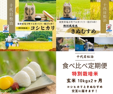 【新米予約】 定期便 コシヒカリ きぬむすめ 食べ比べ 玄米 10kg × 2ヶ月 ( 令和6年産 先行予約 新米 ｺｼﾋｶﾘ ｺｼﾋｶﾘ ｺｼﾋｶﾘ ｺｼﾋｶﾘ ｺｼﾋｶﾘ ｺｼﾋｶﾘ ｺｼﾋｶﾘ ｺｼﾋｶﾘ ｺｼﾋｶﾘ ｺｼﾋｶﾘ ｺｼﾋｶﾘ ｺｼﾋｶﾘ ｺｼﾋｶﾘ ｺｼﾋｶﾘ ｺｼﾋｶﾘ ｺｼﾋｶﾘ ｺｼﾋｶﾘ ｺｼﾋｶﾘ ｺｼﾋｶﾘ ｺｼﾋｶﾘ ｺｼﾋｶﾘ ｺｼﾋｶﾘ ｺｼﾋｶﾘ ｺｼﾋｶﾘ ｺｼﾋｶﾘ ｺｼﾋｶﾘ ｺｼﾋｶﾘ ｺｼﾋｶﾘ ｺｼﾋｶﾘ ｺｼﾋｶﾘ ｺｼﾋｶﾘ ｺｼﾋｶﾘ ｺｼﾋｶﾘ 