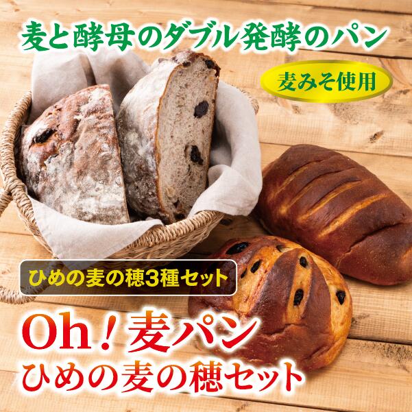 【ふるさと納税】【愛媛県産大麦（はだか麦）使用】Oh！麦パン　ひめの麦の穂セット　パン　篠崎ベーカリー 詰め合わせ こだわり おすすめ 食べ比べ おやつ 朝ごはん 伊予市 老舗 | A75伊予市 老舗 | A75