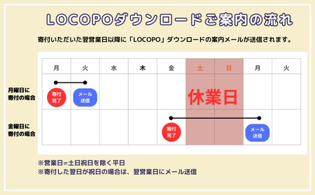 LOCOPOデジタル返礼ポイント【3,000ポイント】_B167-001