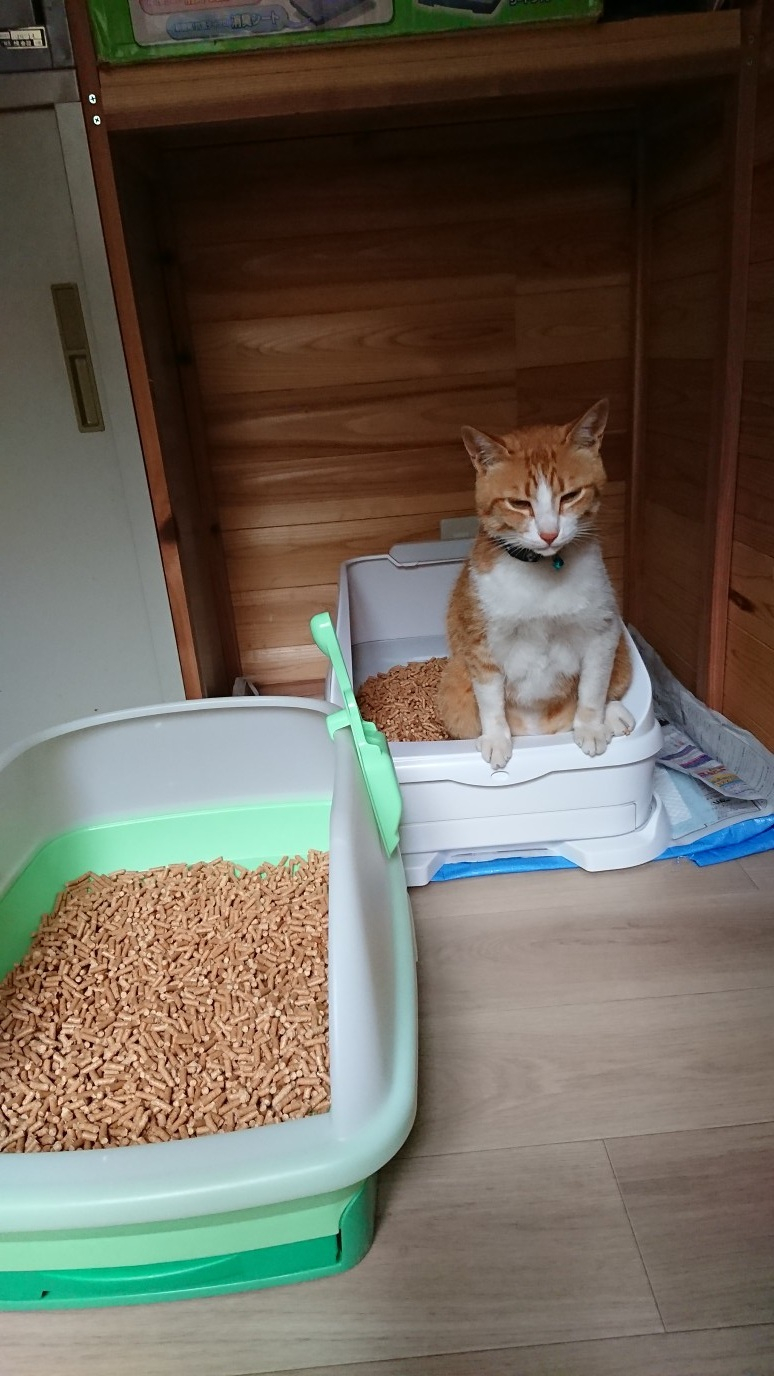 N168　森のねこトイレ　２．５Ｌ×４袋