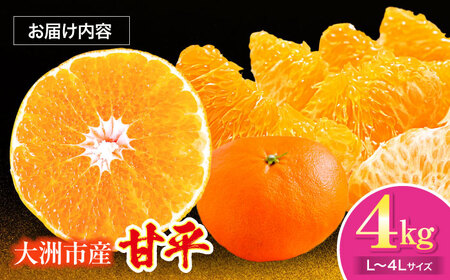  甘平 4kg 【2月下旬より順次発送】（Lから4Lサイズ）甘平 かんぺい[AGAR011]