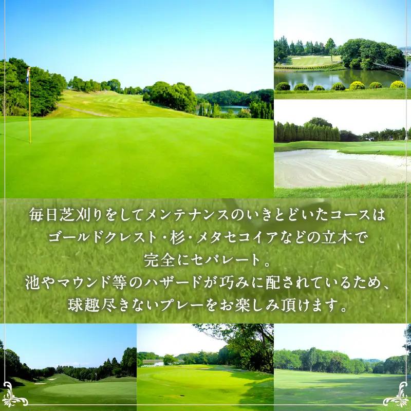 泉南カンツリークラブ 平日限定 ゴルフプレー券 （1名分） ゴルフ ゴルフ券 チケット 泉南カンツリークラブ 平日 昼食付き コース【032C-001】