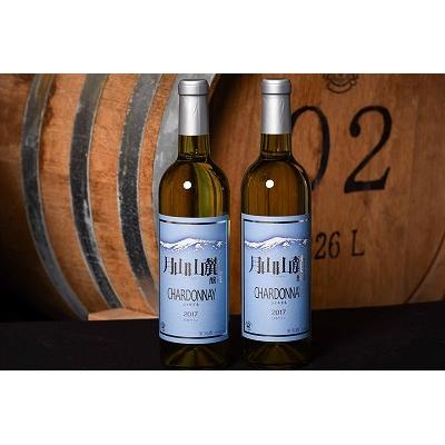 ふるさと納税 寒河江市 【支援品】月山山麓シャルドネ白ワイン (720ml×2本) 山形県寒河江産ぶどう使用　015-E15