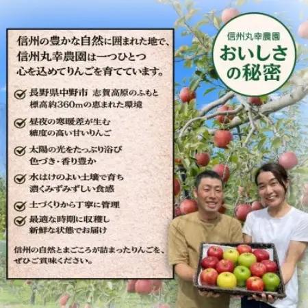 生産農家直送　長野県中野市産　サンふじ　訳ありご家庭用　約10kg(24～41玉)【1716053】