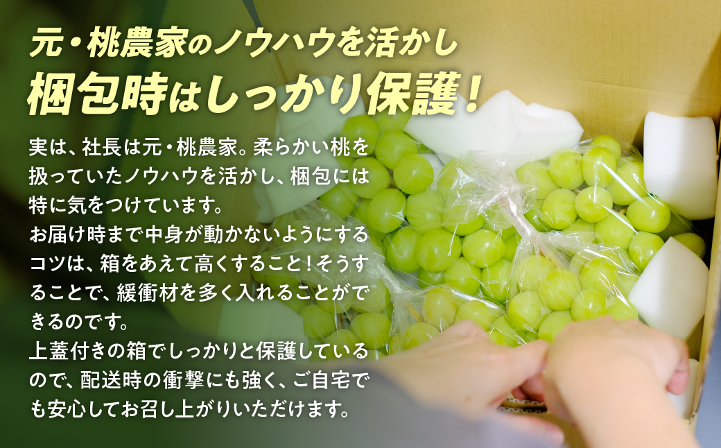 【2025年発送】訳あり 2.3kg 3房以上 シャインマスカット 先行予約 山梨県産 国産 産地直送 人気 おすすめ 贈答 ギフト お取り寄せ フルーツ 果物 くだもの ぶどう ブドウ 葡萄 わけあ