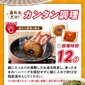 ハンバーグ食べ比べ20個セット_4種 20個 チーズデミ 和風 トマトソース カレーソース ハンバーグ 各5個 冷凍 温めるだけ 湯煎 レンジ 電子レンジ バラエティ 個包装 小分け 食べ比べ お弁当