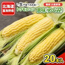 【ふるさと納税】生で食べれるトウモロコシ　恵味(めぐみ)　20本入り【配送不可地域：離島】【1339554】