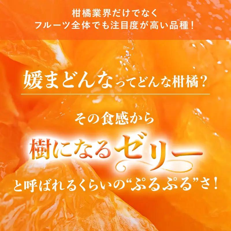 【先行予約】媛まどんな（2kg） 