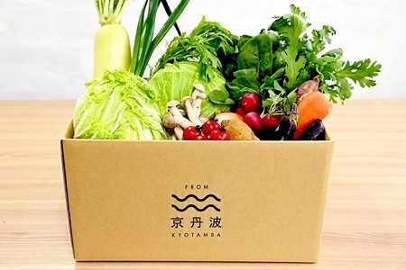 ≪卵付き≫ 【京丹波野菜セット】京丹波 旬菜セット プレミアム 10～12品目  【野菜詰め合わせ　京野菜 】 [015KK003]