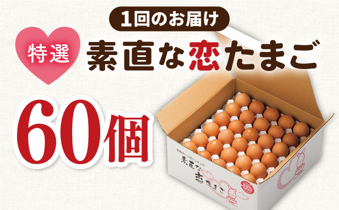 【全12回定期便】特選素直な恋たまご60個入り[JAP005] たまご 60個 鶏卵 玉子 大容量 国産 卵かけご飯 たまごかけご飯 すき焼き 目玉焼き 132000 132000円