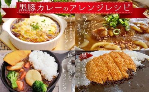 ZS-932 【定期便3回】鹿児島県産黒豚100％ 合計6袋 総菜・カレー・ミートソース レンジで簡単レトルト3種
