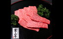 【ふるさと納税】【 ふるさと納税 】葉山牛 特上赤身 焼肉用 500g 冨士屋牛肉店 葉山牛 和牛 にく 肉焼くだけ 焼き肉用 冷凍 お中元 ギフト 箱入り 贈答用 豪華 おもてなし 和牛黒毛和牛 神奈川県 【 逗子市 】　 逗子市 　お届け：発送可能時期より順次発送予定