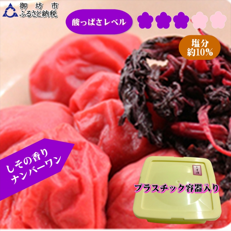 紀州南高梅　しそ漬梅干し　1.2kg　家庭用（B級、C級）