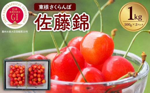 【2027年産 先行受付】 GI 東根さくらんぼ 佐藤錦 1kg (500g×2P) 山形県 東根市 滝口観光果樹園提供 hi030-042-r9 果物 くだもの フルーツ さくらんぼ サクランボ チェリー 先行受付 期間限定 冷蔵配送 取り寄せ グルメ ご当地 特産直送