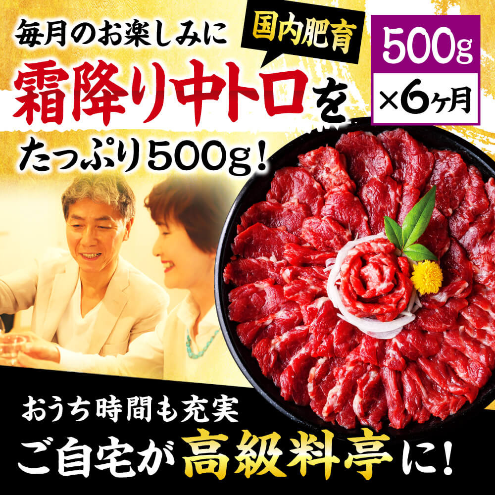 【6ヶ月定期便】熊本 馬刺し 霜降り たっぷり 500g 約50g×10パック