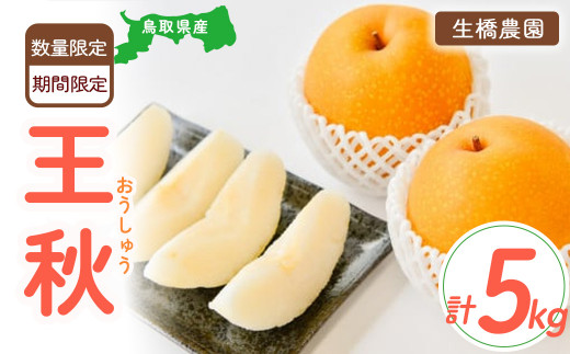 王秋【鳥取県産】5kg（生橋農園） 梨 鳥取 5kg 果物 フルーツ 和梨 先行予約 数量限定 詰め合わせ 今が旬 甘い 人気